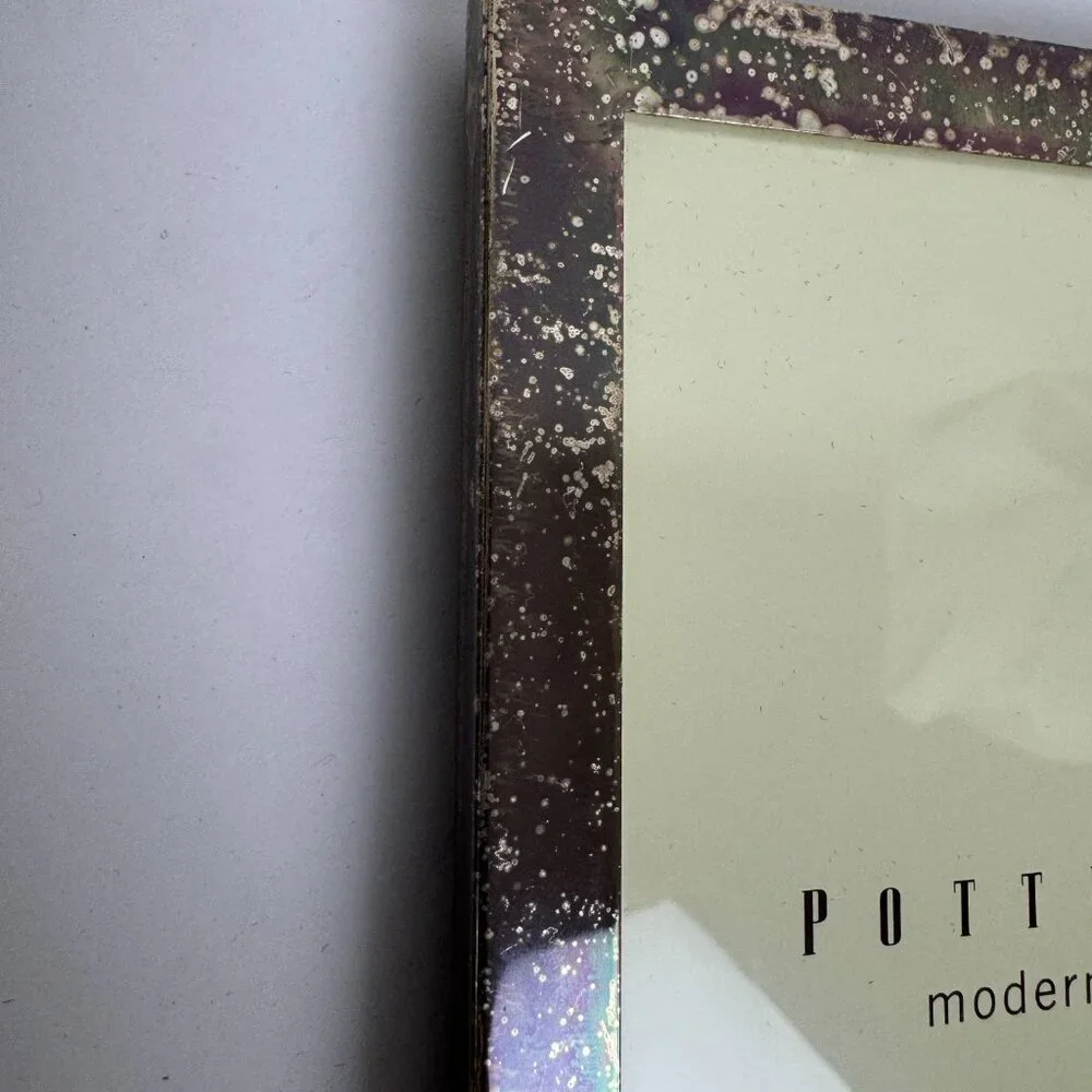 Pottery Barn Silver Stainless Steel Frame 